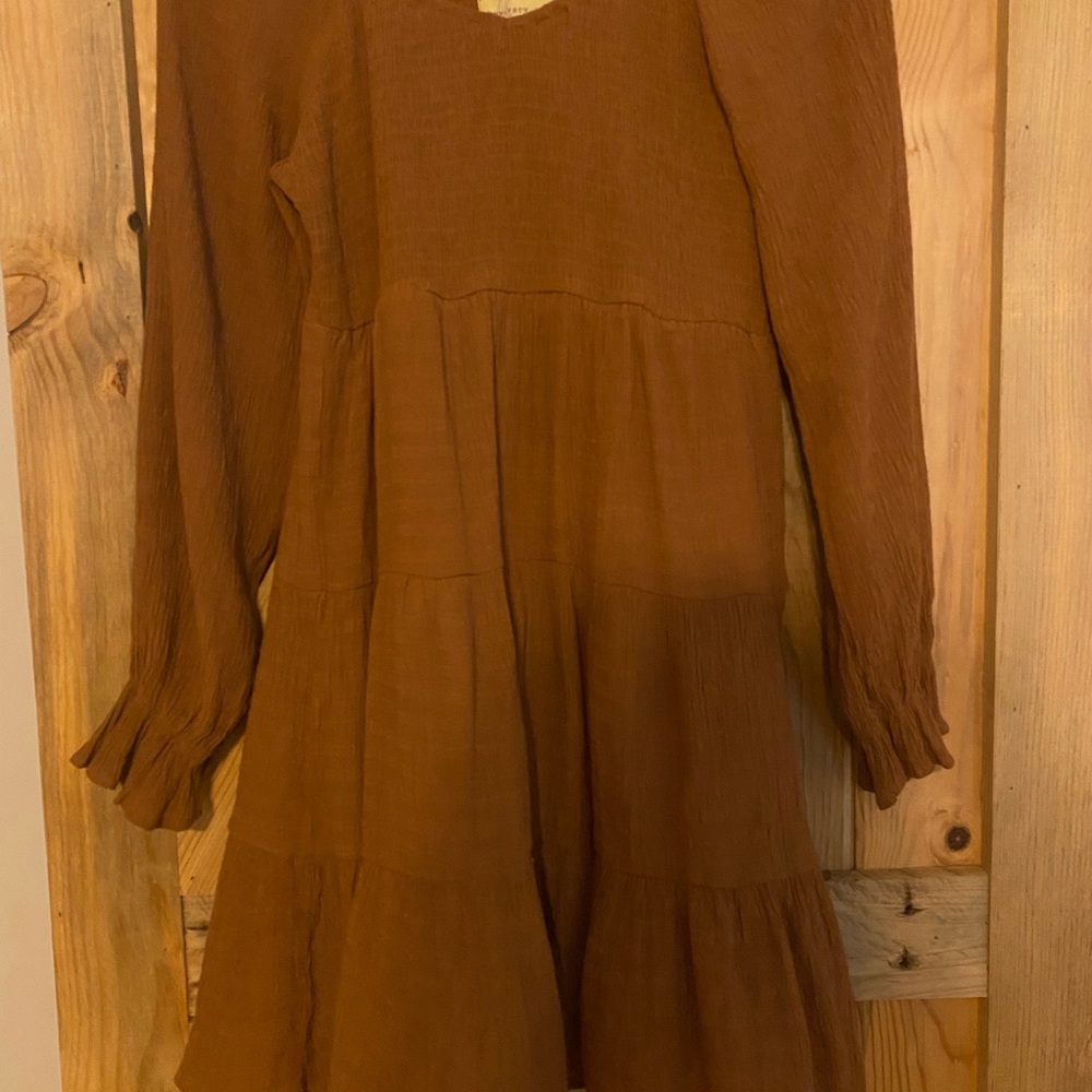 Lizard Thicket Brown Long Sleeve Dress